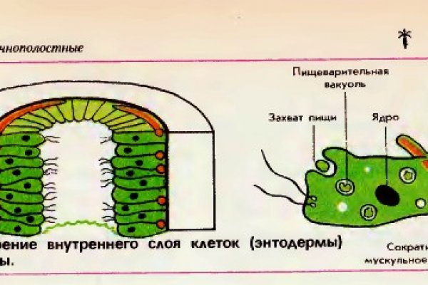 Кракен современный маркет