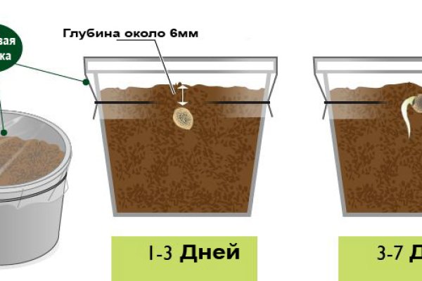 Реальная ссылка кракен