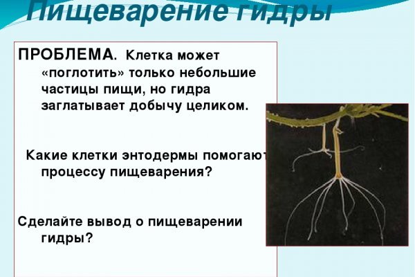 Кракен не заходит